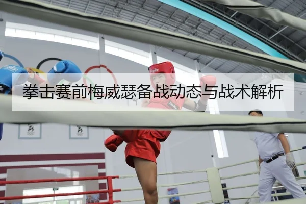 拳击赛前梅威瑟备战动态与战术解析